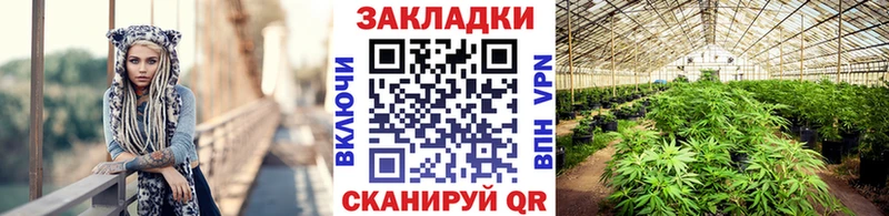 Наркотические вещества Родники СК  hydra онион  Галлюциногенные грибы  Канабис  Меф мяу мяу 