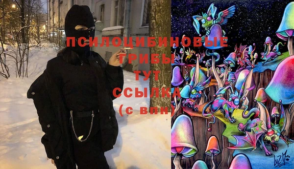 бутират Алексеевка