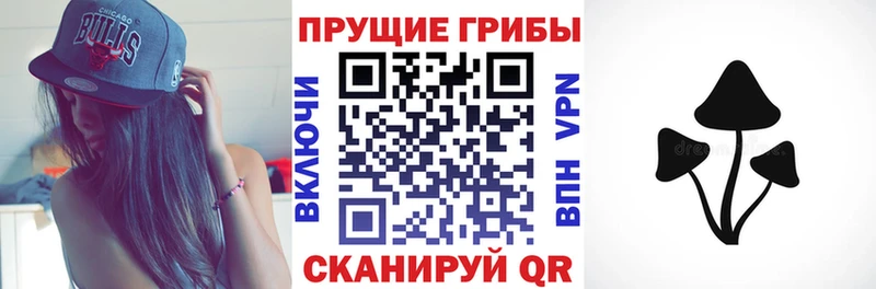 Псилоцибиновые грибы GOLDEN TEACHER Родники